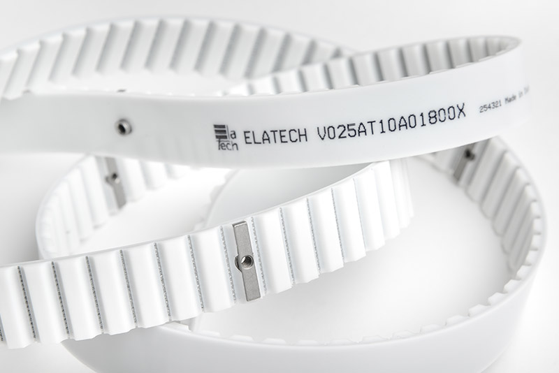 eft-cinghie-falso-dente-metallico-2.jpg