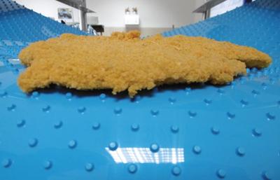 VOLTA &nbsp;易洁带-抗菌输送带传送带