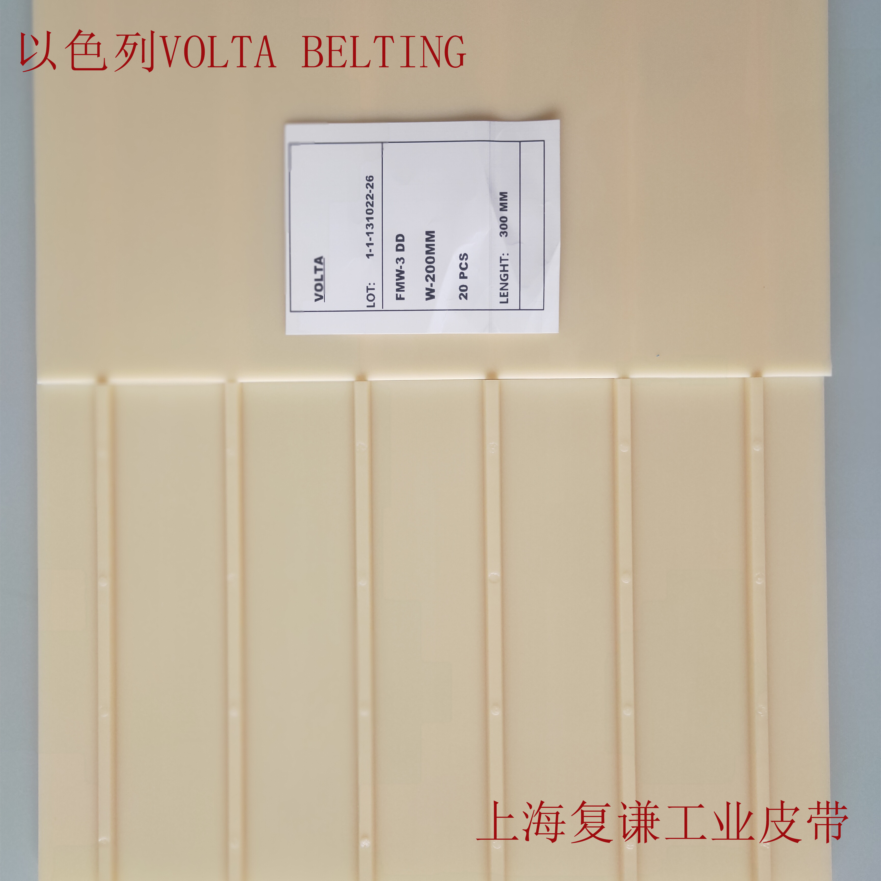 Volta Belting _ Belting Technology_filesIMG20201107094622_副本_副本.jpg