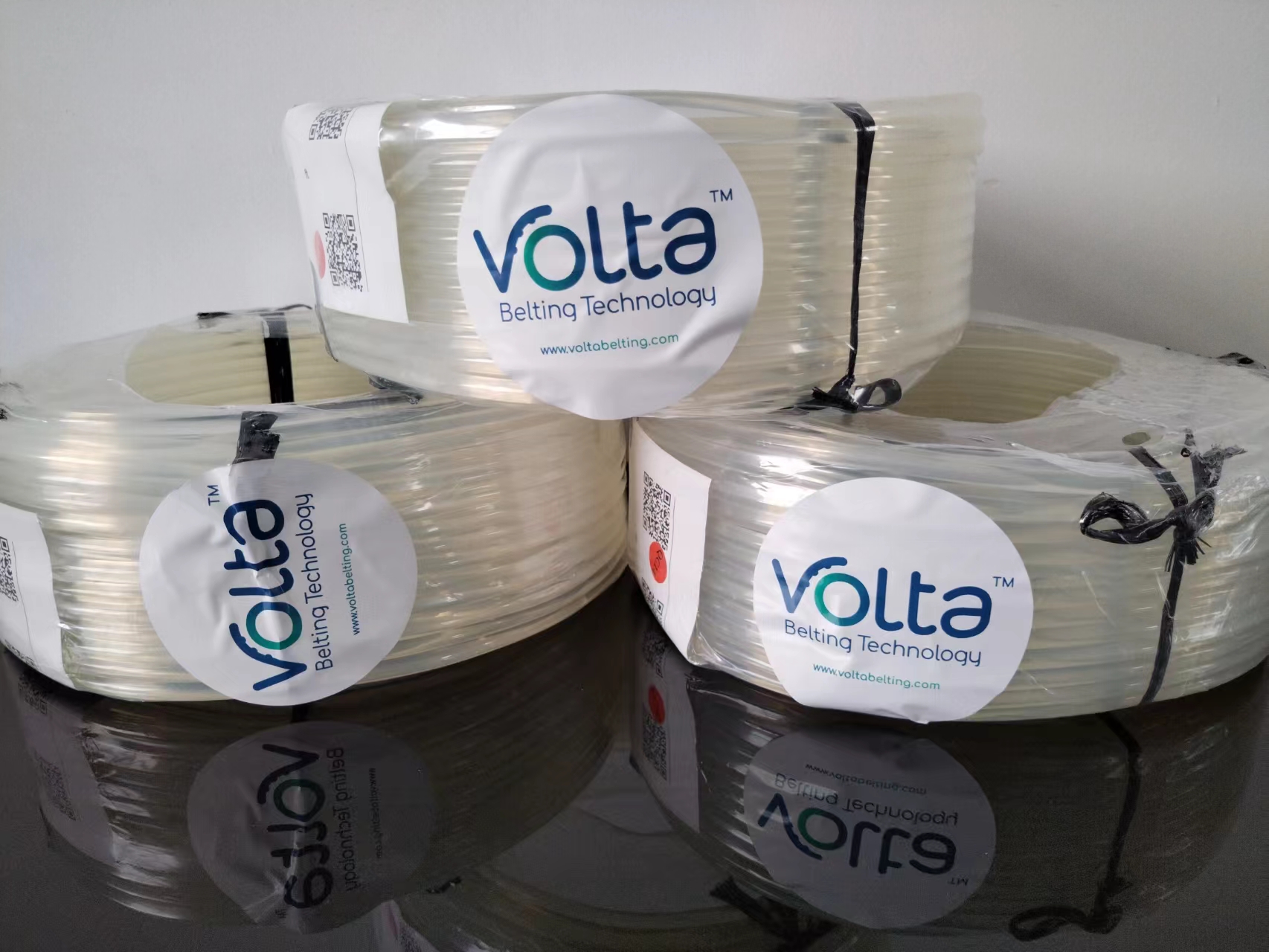 Volta食品输送圆带