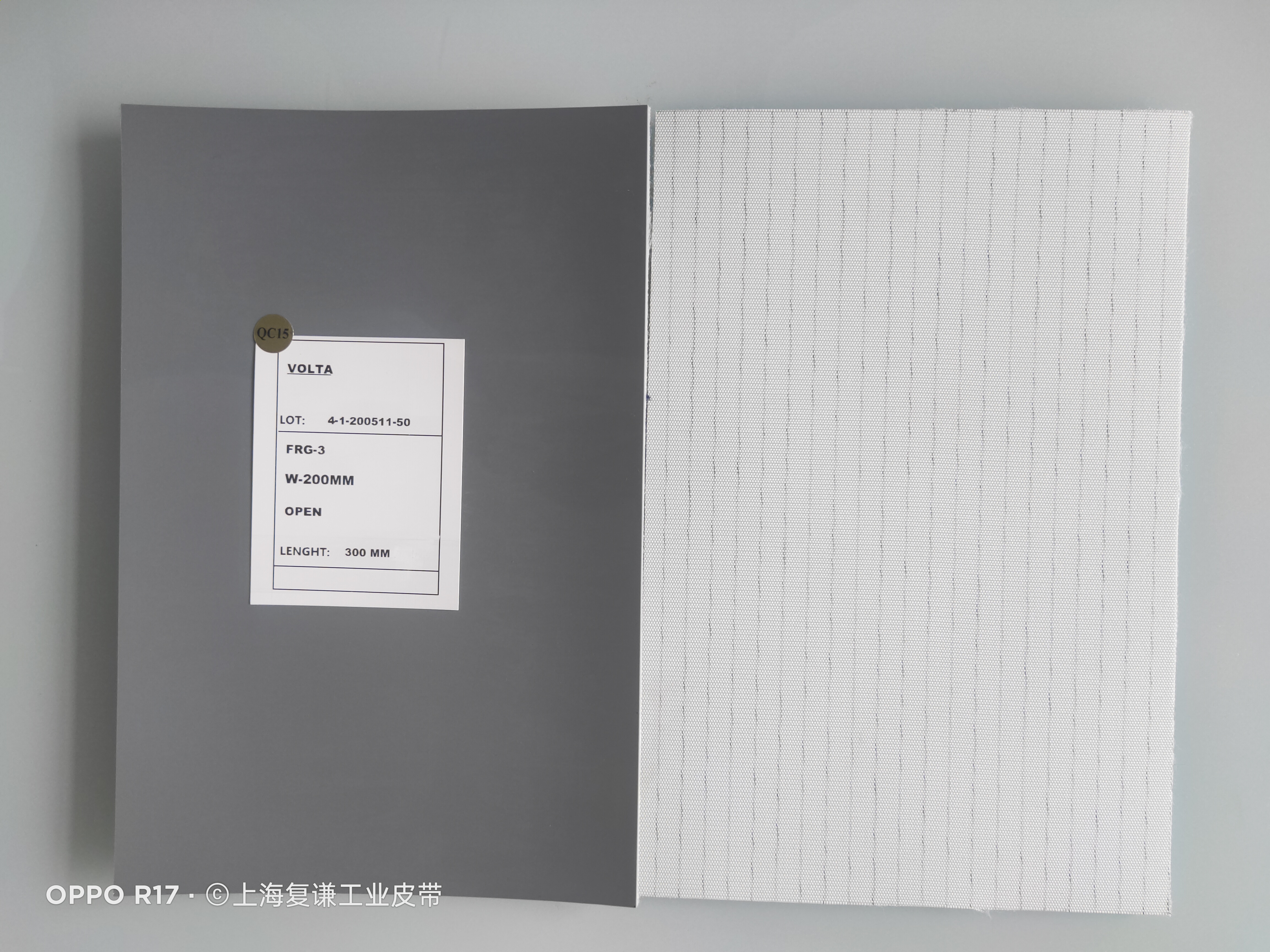 Volta Belting _ Belting Technology_filesIMG20201107094257.jpg