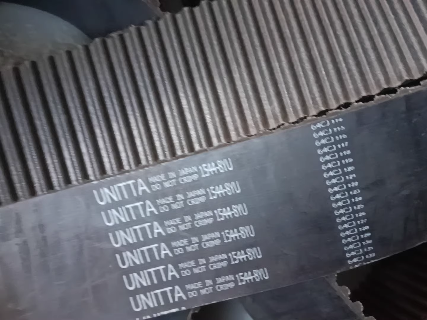 1732432668632.jpg